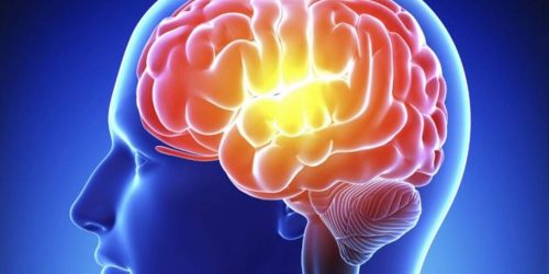 2015-873908545-2015-873615571-cerebro.jpg_20151211.jpg_20151213 2015-873908545-2015-873615571-cerebro.jpg_20151211.jpg_20151213